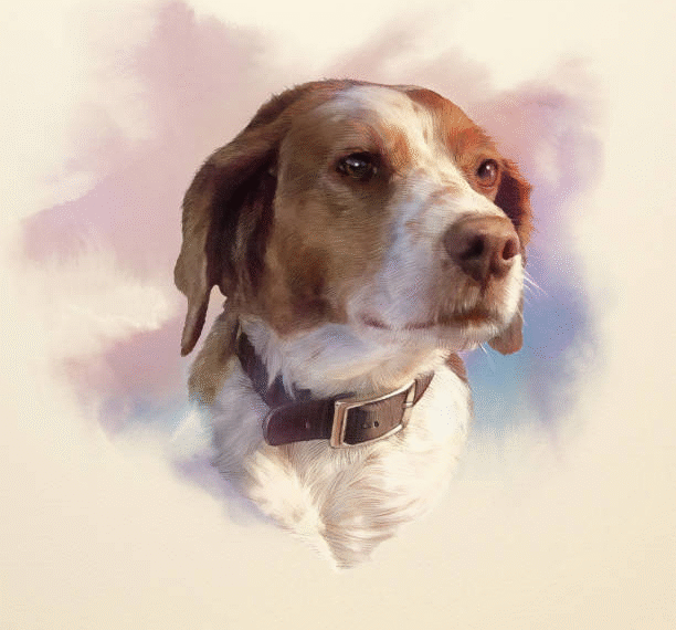 How Artists Bring Dogs to Life Through Hand Painted Portraits